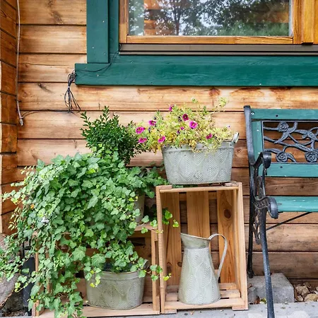 Ferienhaus An Den Orgelpfeifen Holiday home Scheibenberg